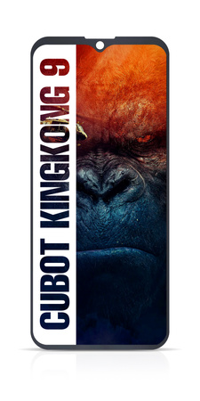 Wyświetlacz do Cubot King Kong 9 Ekran LCD Oryginał Zila